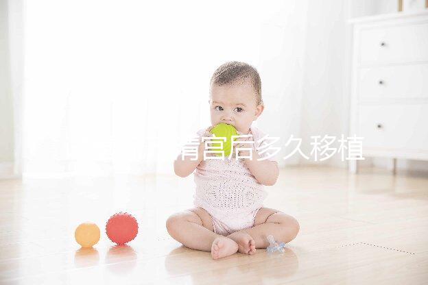 試管流產清宮后多久移植？半年還是兩個月看大家怎么說...
