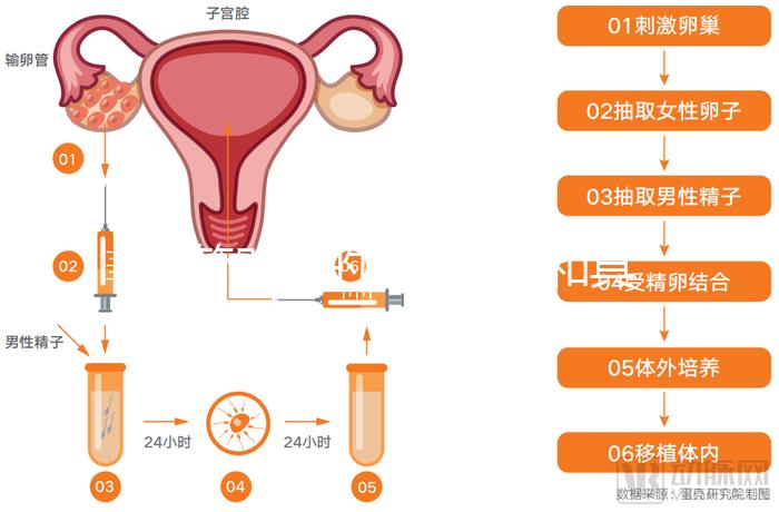 試管嬰兒的具體步驟和具體花費(一代試管生男孩的經驗)