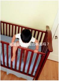 試管嬰兒的成功率高嗎？卵泡質量或為關鍵因素