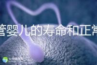 試管嬰兒的壽命和正常人一樣嗎