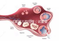 試管嬰兒的過(guò)程(試管嬰兒的過(guò)程步驟及時(shí)間)
