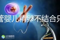 試管嬰兒精卵不結合只是基因問題？這幾大原因告知真相