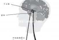 試管嬰兒給報(bào)銷么(試管嬰兒給報(bào)銷嗎)