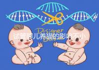 試管嬰兒養貓的影響不小，這三大危害一文說清楚