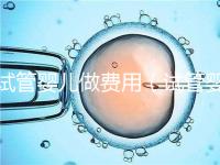 試管嬰兒做費用（試管嬰兒做費用多少）