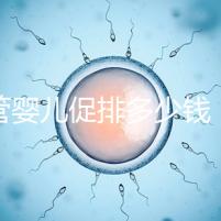 試管嬰兒促排多少錢（試管和促排哪個傷害小）