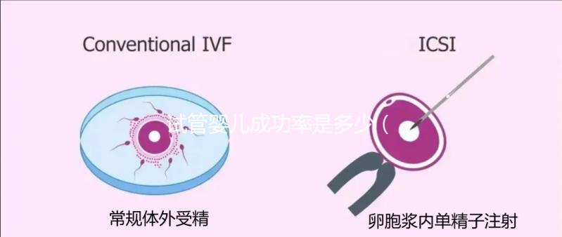 試管嬰兒成功率是多少（年齡大了做試管嬰兒成功率是多少）