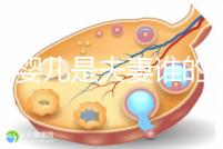 試管嬰兒是夫妻誰(shuí)的問題（試管嬰兒是夫妻的嗎）