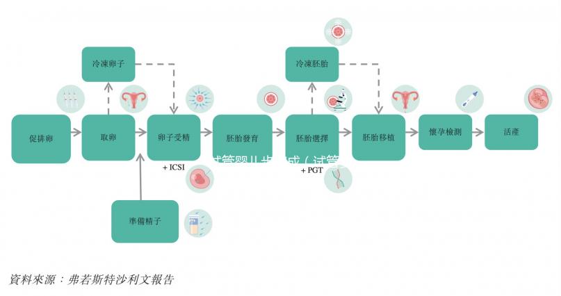 試管嬰兒步驟成(試管嬰兒步驟成功率)
