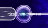 試管嬰兒需要的條件(試管嬰兒需要什么條件)