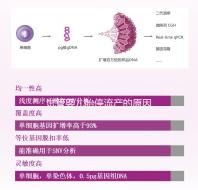 試管嬰兒胎停流產(chǎn)的原因剖析，胎停育與胎停孕大不同