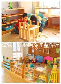 試管嬰兒胚胎冷凍費(fèi)解析，一年下來大概要花這么多