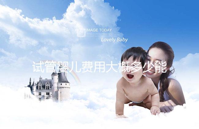 試管嬰兒費用大概多少能出來報銷(試管嬰兒費用大概多少能出來報銷醫保)