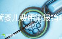 試管嬰兒費用能報銷嗎醫(yī)保(試管嬰兒費用能報銷嗎醫(yī)保報銷嗎)