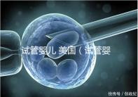 試管嬰兒 美國(試管嬰兒 美國 排名)