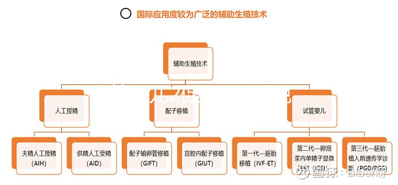 試管嬰兒2促3移,說說5點(diǎn)我的成功懷孕經(jīng)驗(yàn)