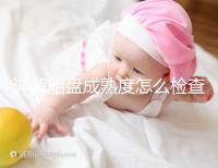 詳解胎盤成熟度怎么檢查、正常值是多少，附超聲報告解讀