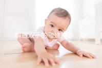 解放雙手的帶娃神器，嬰兒搖椅十大品牌推薦