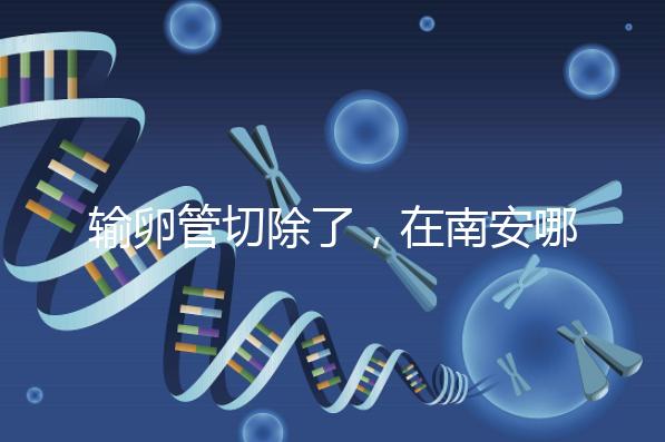 輸卵管切除了，在南安哪里能做試管嬰兒？