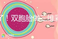 賺了！雙胞胎做三維彩超檢查報告不僅準(zhǔn)確，還拒絕雙收費