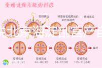 誰說北京海淀剖宮產自付費用高,了解2024年生育保險報銷比例?
