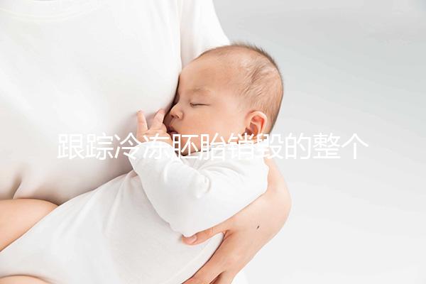 跟蹤冷凍胚胎銷毀的整個過程，簽署知情同意書只是第一步