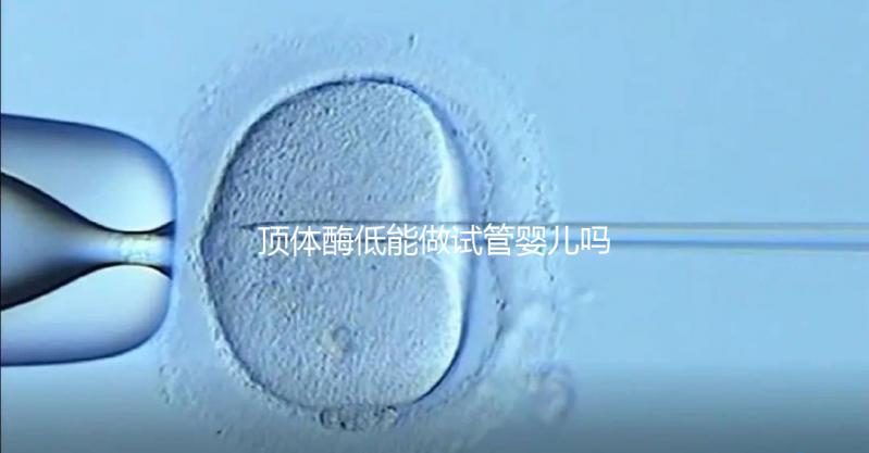 頂體酶低能做試管嬰兒嗎？你想知道的答案全在這