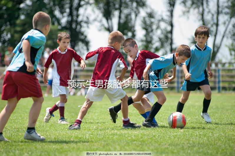 預示生男孩胎夢都有這些,孕早期就可以對照著看看