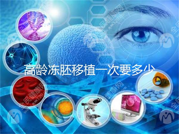 高齡凍胚移植一次要多少錢？解凍費只有幾千元真的不貴