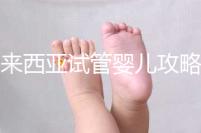 馬來西亞試管嬰兒攻略，試管流程及費(fèi)用看完就懂