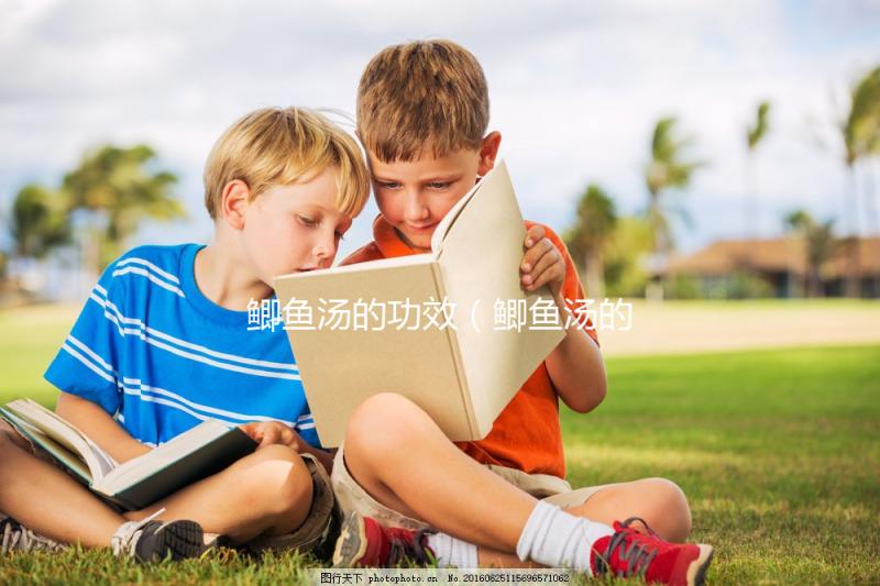 鯽魚湯的功效(鯽魚湯的功效與作用)