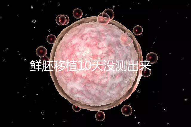 鮮胚移植10天沒測出來怎么辦？從白板到粉印還有希望
