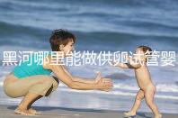 黑河哪里能做供卵試管嬰兒?美國/柬埔寨成首選