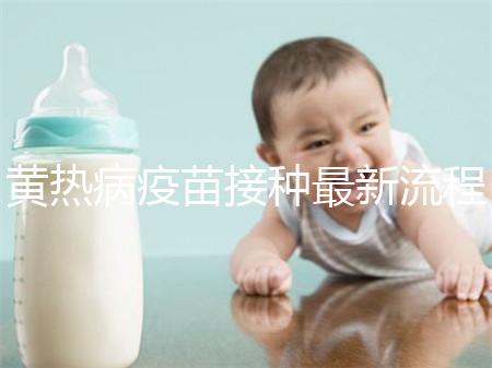 黃熱病疫苗接種最新流程詳解，這八大步驟你需要了解