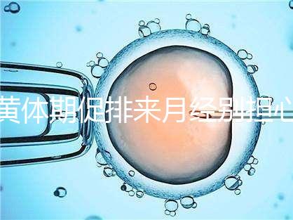 黃體期促排來月經別擔心！過來人經驗告訴你怎么辦