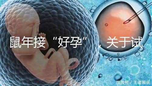 鼠年接“好孕”，關于試管嬰兒取卵的那些事兒！