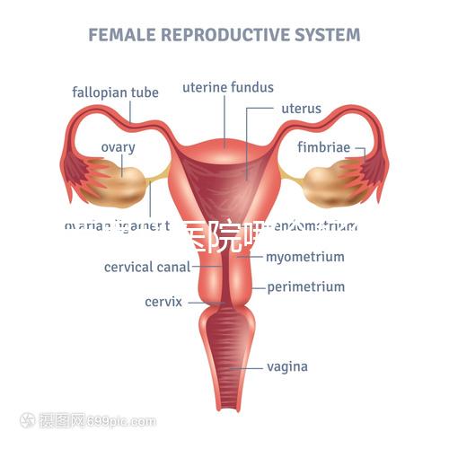 雞西男科醫院哪個好答案在這里？公立和私立各有優勢