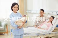 5cb囊胚第幾天能測出看移植成功后續發育怎么樣，不懂戳