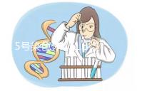 5號染色體q31.3微缺失綜合癥嚴重嗎？會怎么樣？