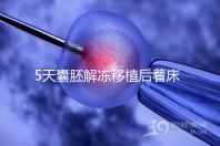 5天囊胚解凍移植后著床or游離看這，驗孕時間可別太早