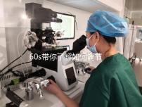 60s帶你了解如何調節凍胚移植前內膜厚卵泡小，快速收集