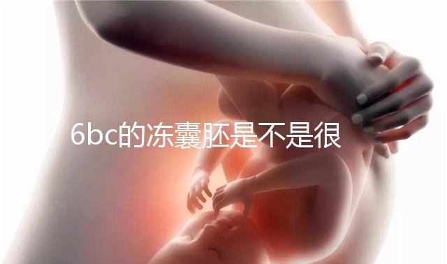 6bc的凍囊胚是不是很差?3分鐘帶你了解胚胎質(zhì)量和級(jí)別
