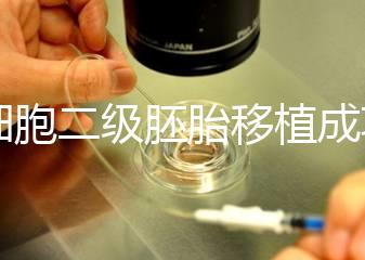 9細(xì)胞二級(jí)胚胎移植成功案例不少,過來人告訴你著床率較高