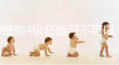 9細(xì)胞4級(jí)胚胎可不可以移植，看完質(zhì)量差不差再下定論