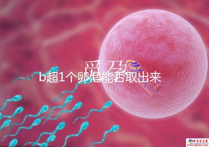 b超1個卵泡能否取出來分人，質(zhì)量好或有一定受孕幾率