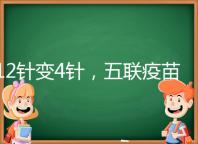 12針變4針,五聯(lián)疫苗接種時(shí)間整理,戳進(jìn)來看全攻略