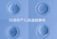36周早產(chǎn)兒保溫箱費用整理，12天到4斤花不了多少錢