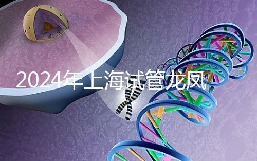 2024年上海試管龍鳳胎價格明細表公布，一次準備3萬元就夠了