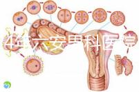 2024年六安男科醫院排名發布，裕安哪個好文件告訴答案