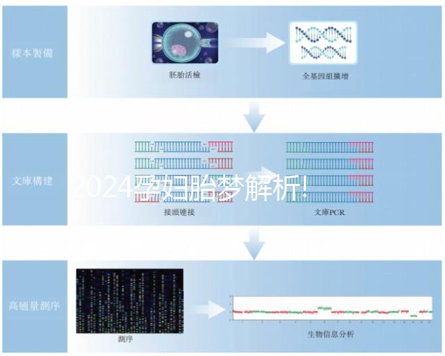 2024孕婦胎夢解析!盤點(diǎn)那些生男孩的胎夢